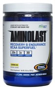 GASPARI NUTRITION AMINOLAST (420 ГР.) GASPARI NUTRITION AMINOLAST (420 ГР.)
